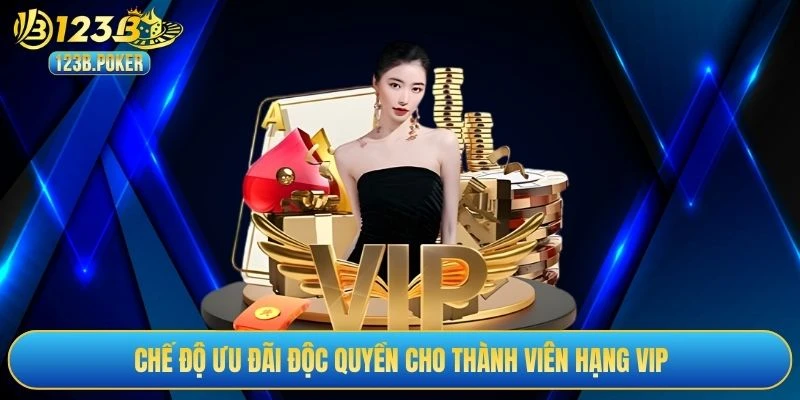 Chế độ ưu đãi độc quyền cho thành viên hạng VIP